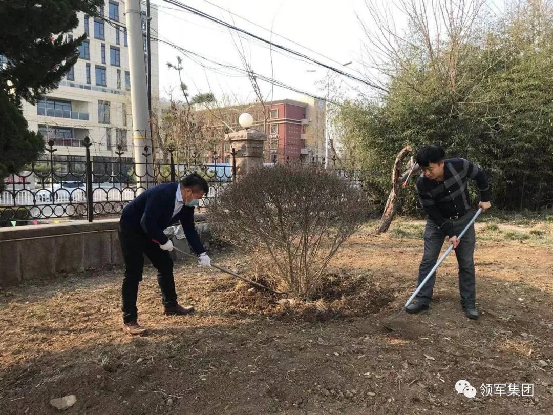 播种希望 迎接春天——山东领军科技集团开展植树节活动